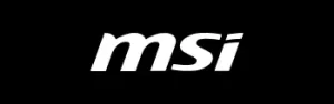 MSI